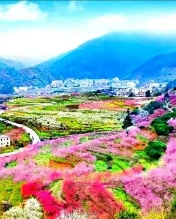 韶關3天團·韶關春日限定賞九峰花海+任浸峇里島風情畔山温泉+乳源八景之一「雲門山旅遊度假區」美景温泉純玩3天團