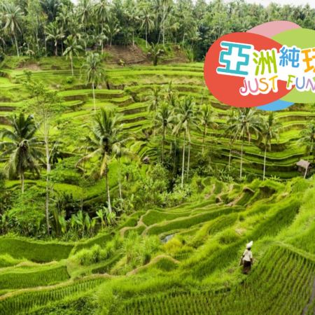 峇里島7天團·半自由行之旅《悉心安排峇里島內自主包車二日遊》《2人可成團•免收旅行團服務費》