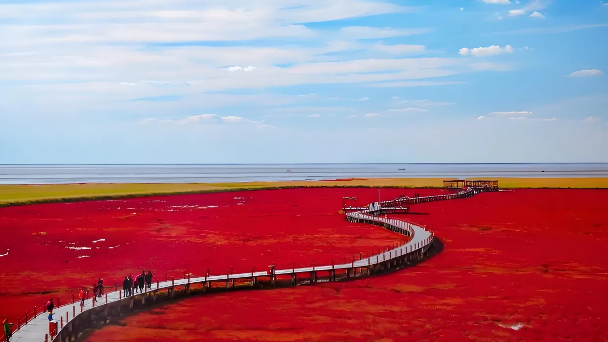 紅海灘國家風景廊道