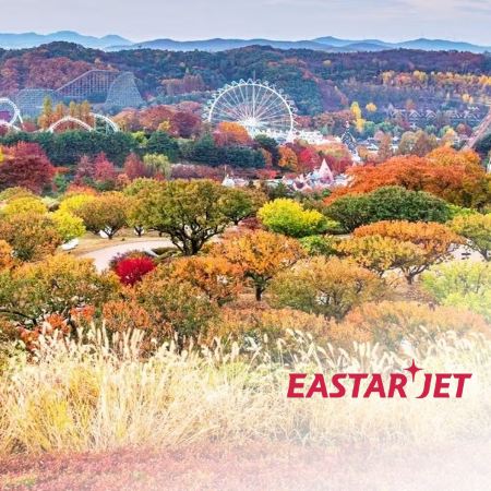 京畿道+釜山6天團·「炸雞體驗」1991橋村炸雞、愛寶樂園Everland、斜坡滑車SkylineLuge、義王鐵道自行車、釜山ArteMuseum、BluelinePark海雲台海岸列車《 限定出發: 10月21日 》