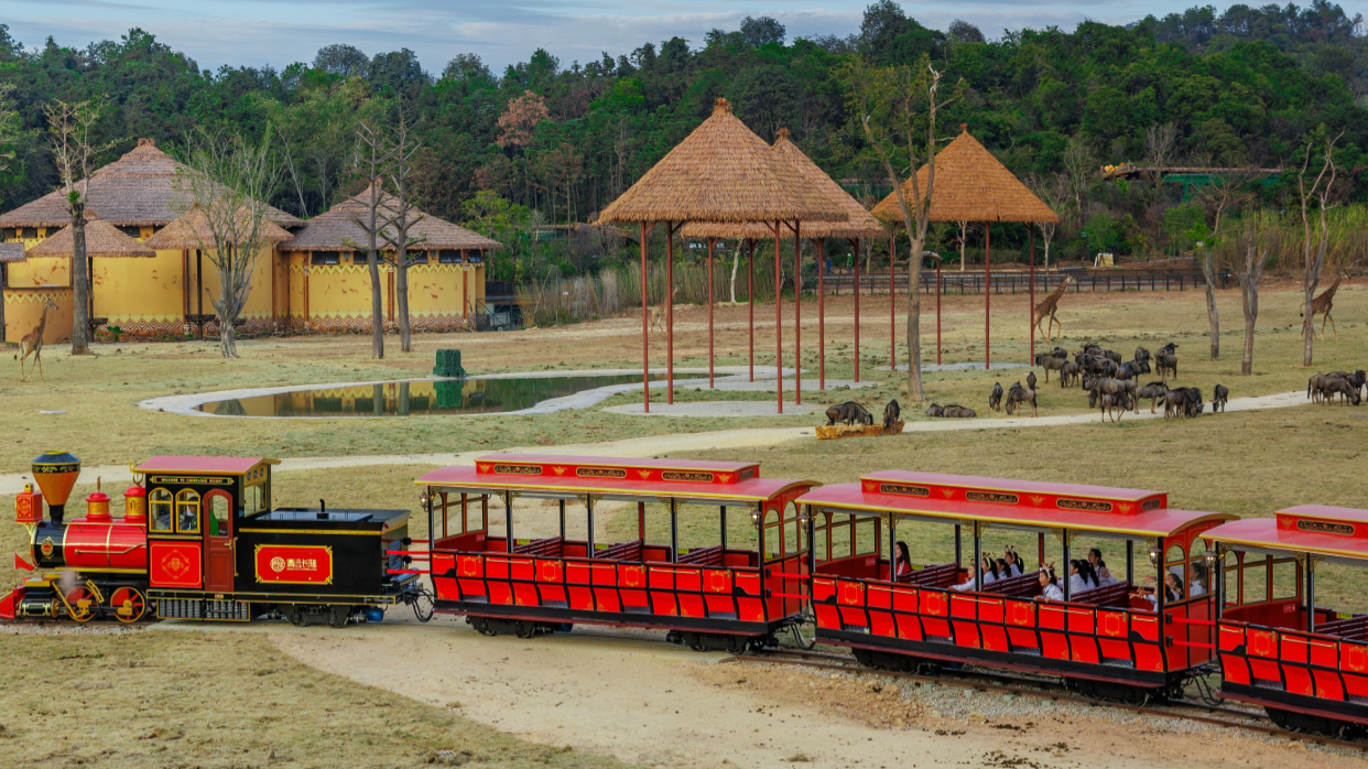 清遠長隆森林王國