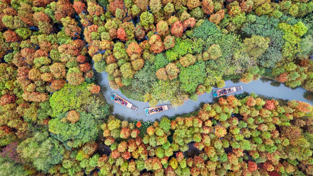 尚湖風景區秋景