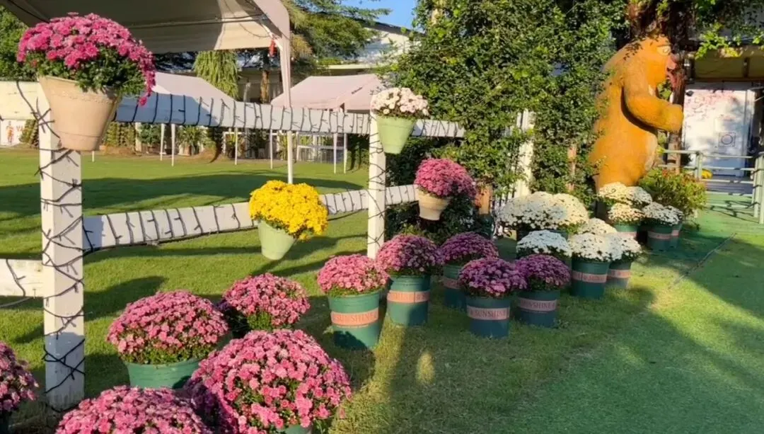 花卉莊園