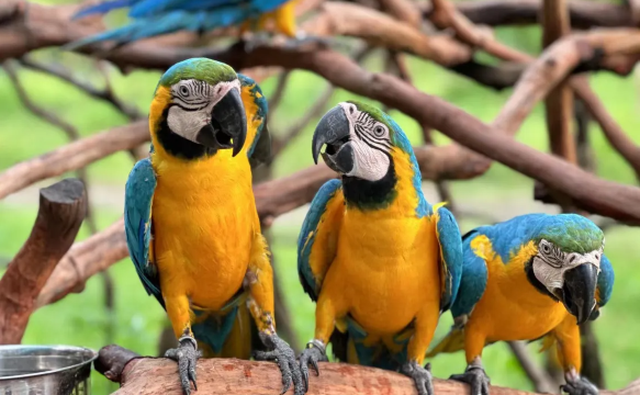 惠州浮生六季生態園