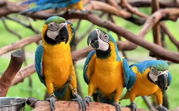 惠州浮生六季生態園