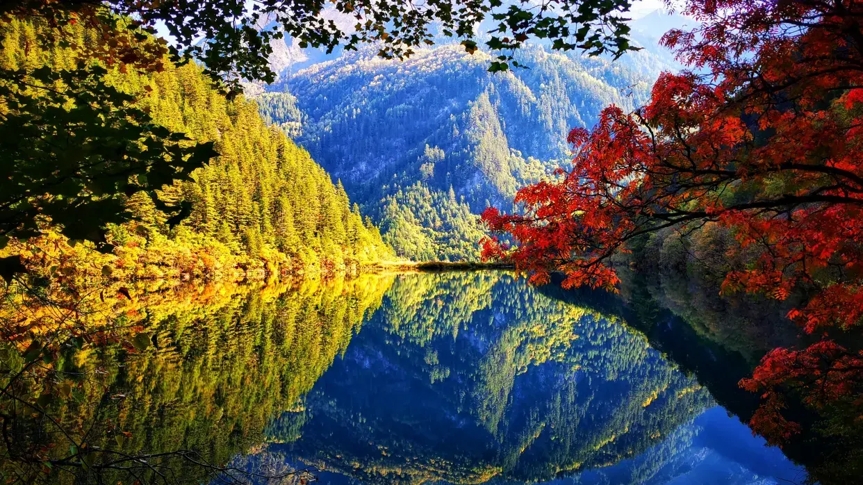 永安旅游