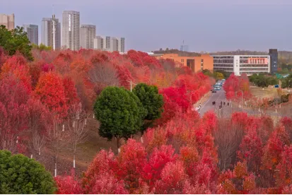 文華學院