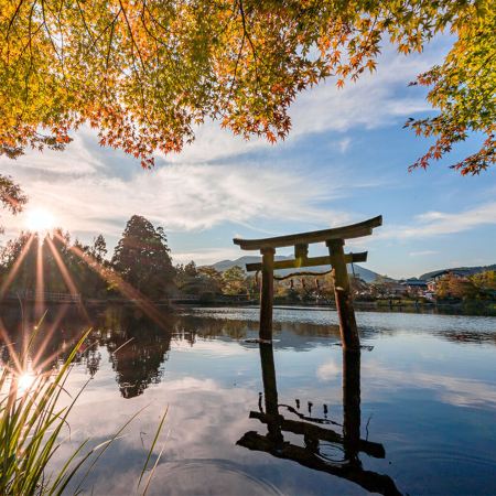 福岡+鹿兒島縣+宮崎縣7天團·賞紅葉名所(仙巖園、霧島神宮、「米芝蓮景點推介」太宰府～天滿宮、金鱗湖)、高千穗牧場、可口可樂工房見學、5晚溫泉酒店