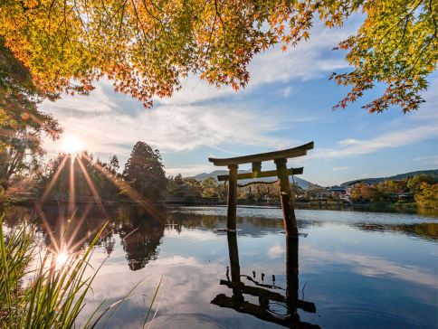 福岡+鹿兒島縣+宮崎縣7天團·賞紅葉名所(仙巖園、霧島神宮、「米芝蓮景點推介」太宰府～天滿宮、金鱗湖)、高千穗牧場、可口可樂工房見學、5晚溫泉酒店