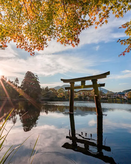 福岡+鹿兒島縣+宮崎縣7天團·賞紅葉名所(仙巖園、霧島神宮、「米芝蓮景點推介」太宰府~天滿宮、金鱗湖)、高千穗牧場、可口可樂工房見學、5晚溫泉酒店