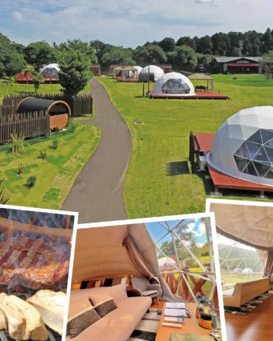 東京6天團·秋日Glamping之旅、【期間限定】Mother牧場豪華露營Glamping體驗+Mother牧場(欣賞花田美景)、賞紅葉名所(高德院~鎌倉大佛、鶴岡八幡宮、成田山新勝寺)