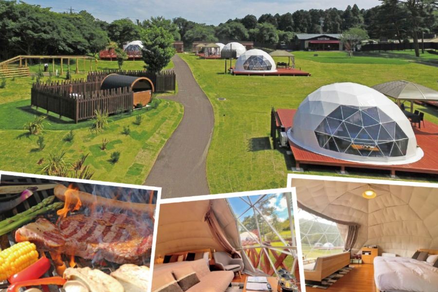 東京6天團·秋日Glamping之旅、【期間限定】Mother牧場豪華露營Glamping體驗+Mother牧場(欣賞花田美景)、賞紅葉名所(高德院~鎌倉大佛、鶴岡八幡宮、成田山新勝寺)