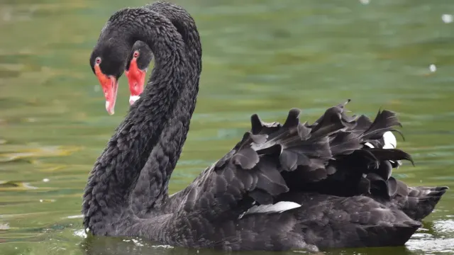 惠州浮生六季生態園