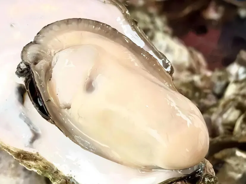 任食原味蒸生蠔