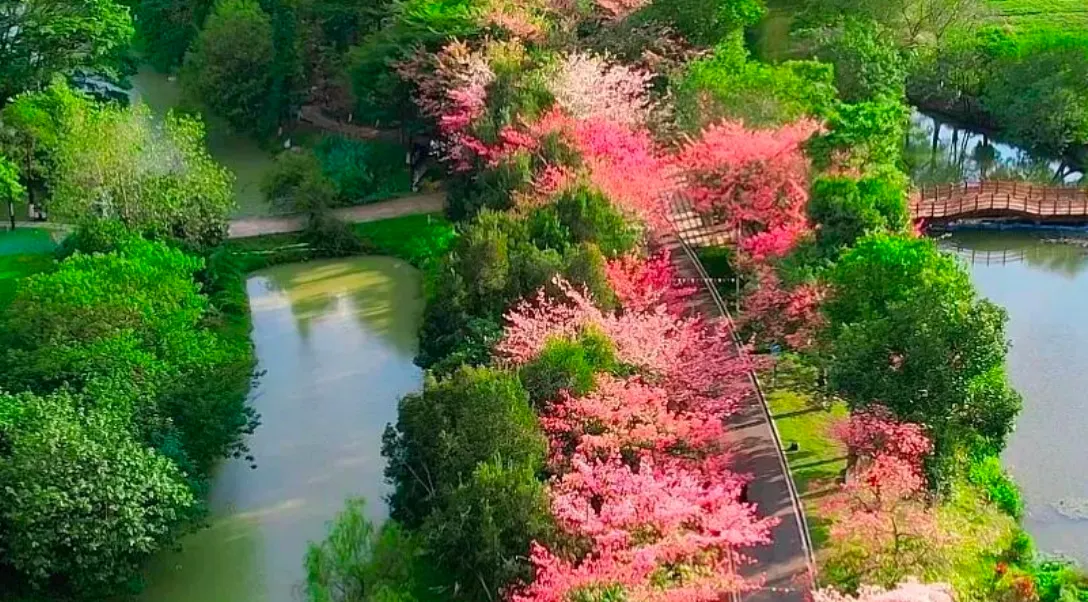 翰林湖農業公園