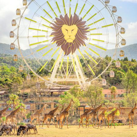 廣州+清遠3天團·《3大親子樂園+2晚酒店自助晚餐》 《清遠長隆森林王國+融創樂園+融創國際大馬戲+天適櫻花悠樂園》