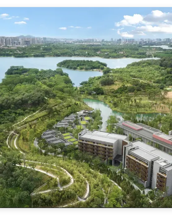 東莞+深圳2天團·《悠閒天半團》保證入住 Banyan Tree 旗下~東莞松山湖悅榕莊(約800呎帶露台獨立湯泉池客房)《靚靚的海》【現撈海鮮+現切牛肉自助餐】【𠮩𠹌私房菜宴】東莞深圳純玩天半團