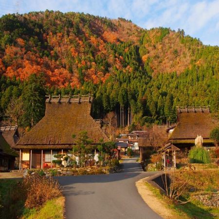 大阪+奈良縣+和歌山縣5天團·保證入住1晚《國際品牌》南紀白濱Marriott 溫泉酒店、「世界文化遺產」興福寺~中金堂、「賞紅葉名所」美山町~茅屋之里
