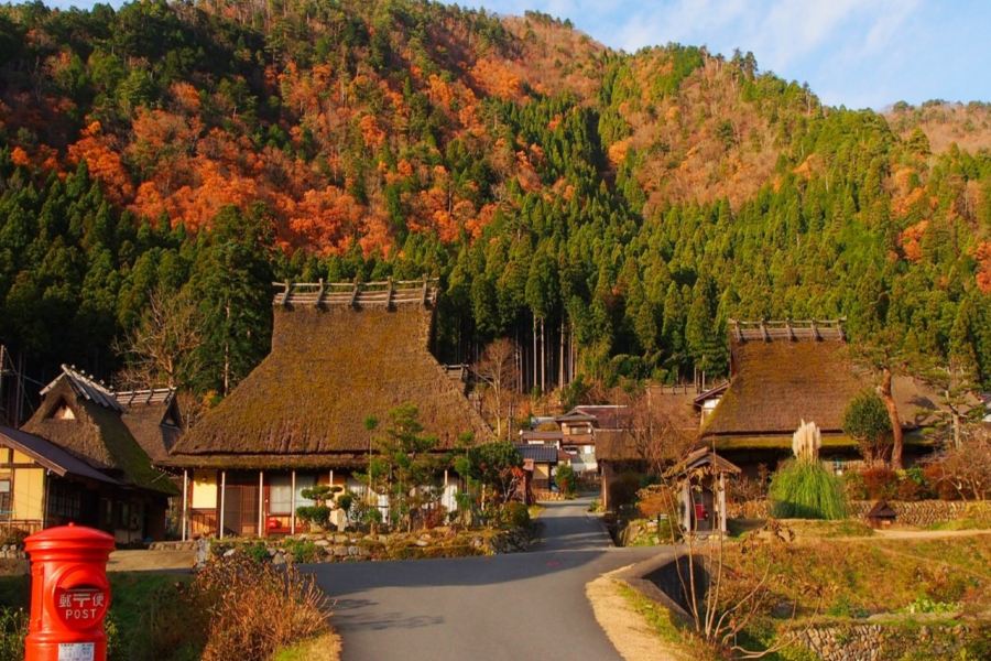 大阪+奈良縣+和歌山縣5天團·保證入住1晚《國際品牌》南紀白濱Marriott 溫泉酒店、「世界文化遺產」興福寺~中金堂、「賞紅葉名所」美山町~茅屋之里
