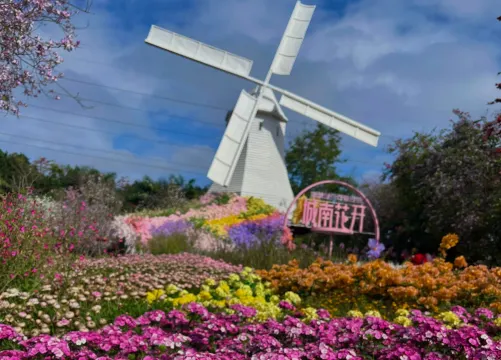 荷蘭花卉小鎮 