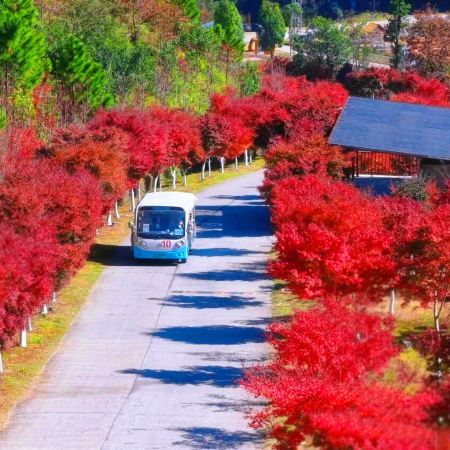 新豐+惠州3天團·《楓紅物語》「嶺南紅葉世界觀賞秋楓」(漫山紅葉層林盡染，滿目映紅)
嶺南紅葉世界「煙雨茶田」「天空之鏡~天梯」「霍比特小屋」