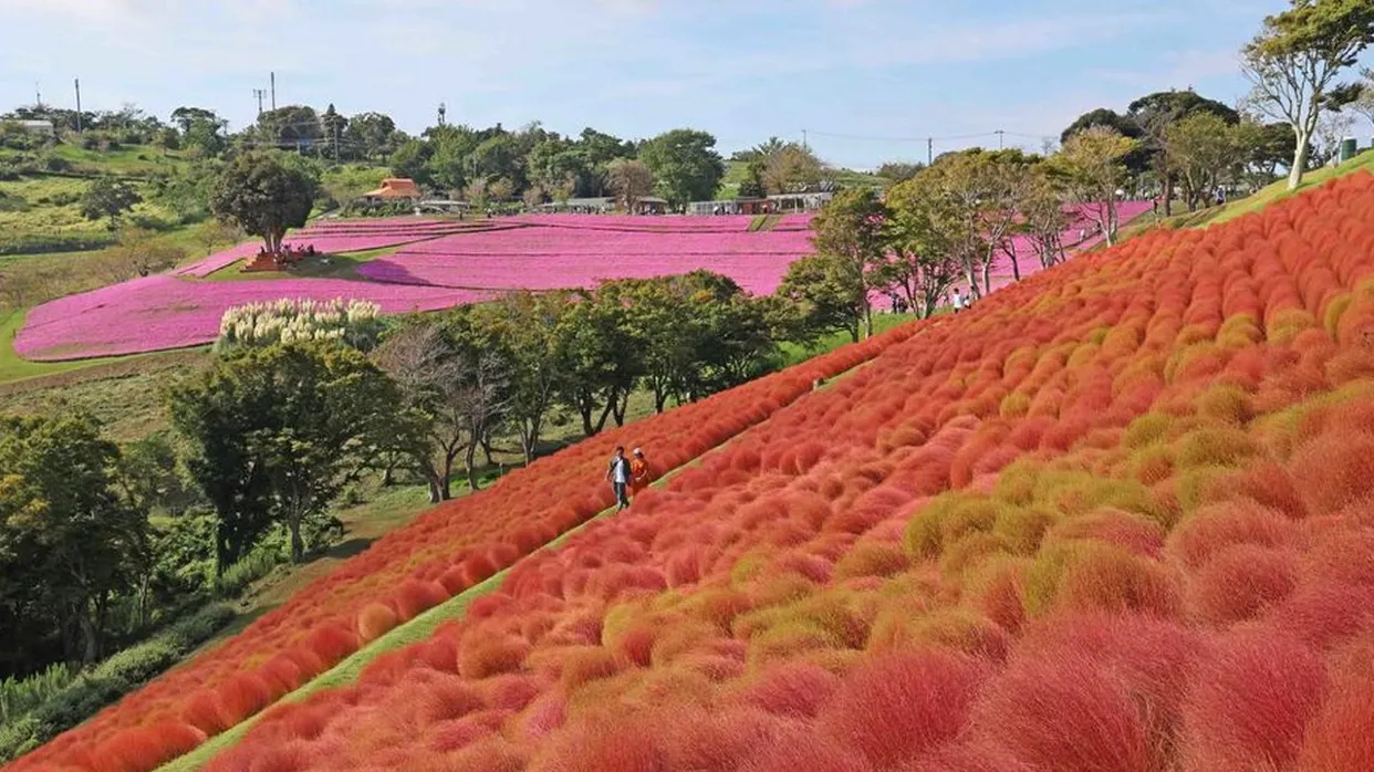 Mother牧場_秋天