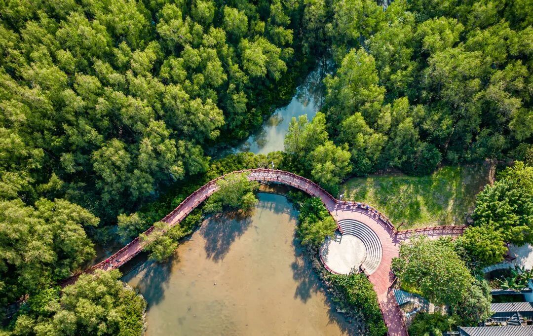 大亞灣紅樹林城市濕地公園