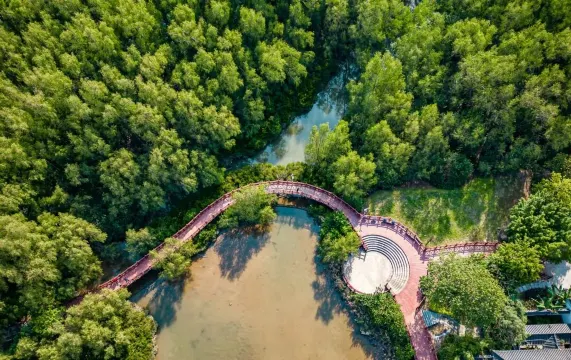 大亞灣紅樹林城市濕地公園