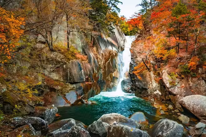 永安旅游
