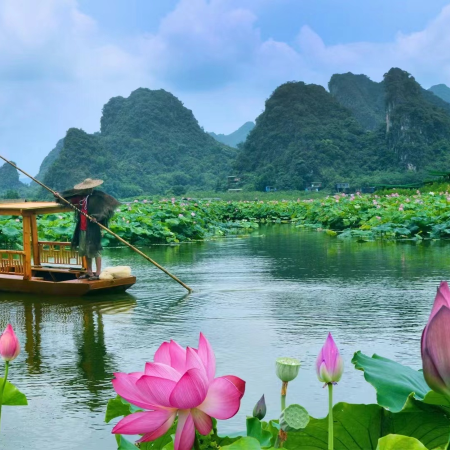 清遠2天團·《季節限定+荷花盛會+森系風景》「峰林曉鎮」「花卉莊園~奇蹟花園」「筆架山瀑布羣」