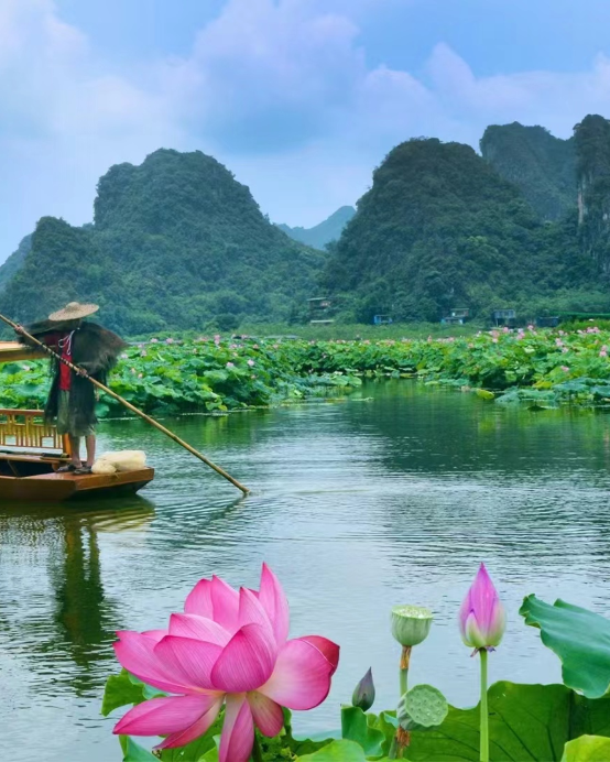 清遠2天團·《季節限定+荷花盛會+森系風景》「峰林曉鎮」「花卉莊園~奇蹟花園」「筆架山瀑布羣」