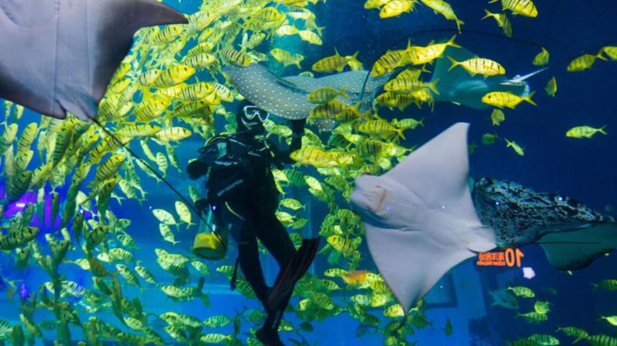 廣州正佳極地海洋館