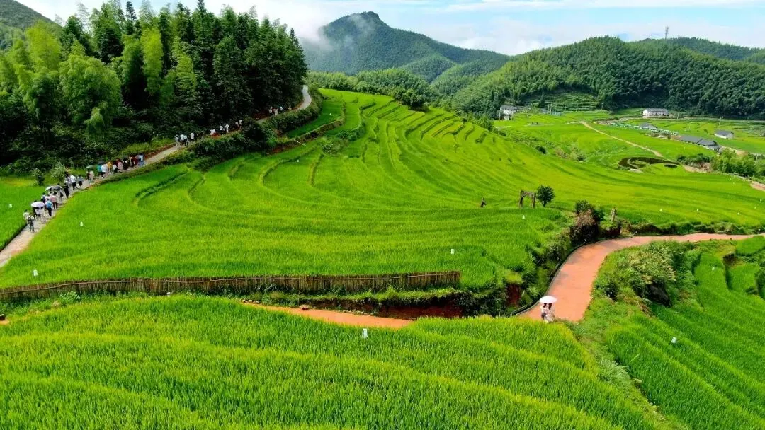 上堡梯田