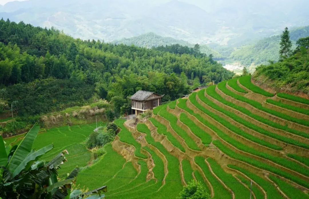 上堡梯田