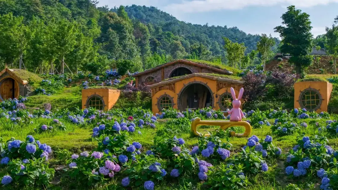 嶺南紅葉世界(繡球花)