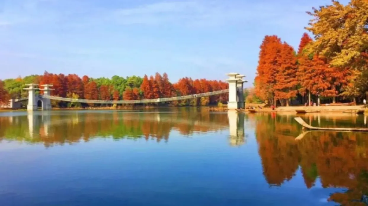 東湖落雁風景區(11-12月出發遊覽東湖落雁風景區賞秋景)