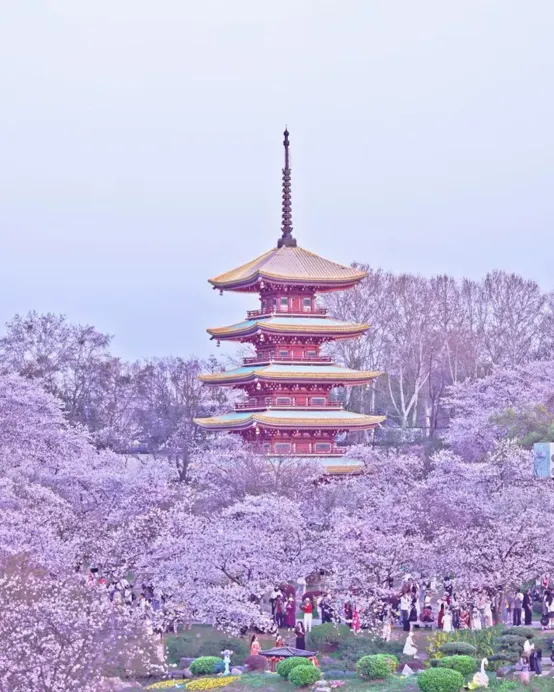 武漢+新疆+甘肅+青海12天團·[復活節25/3出發] 新疆(烏魯木齊、吐魯番)、甘肅(敦煌、嘉峪關、張掖)、青海(西寧、青海湖)、武漢賞櫻12天純玩遊