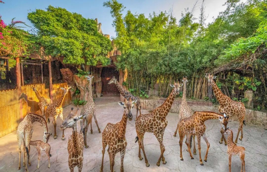 長鹿旅遊休博園 