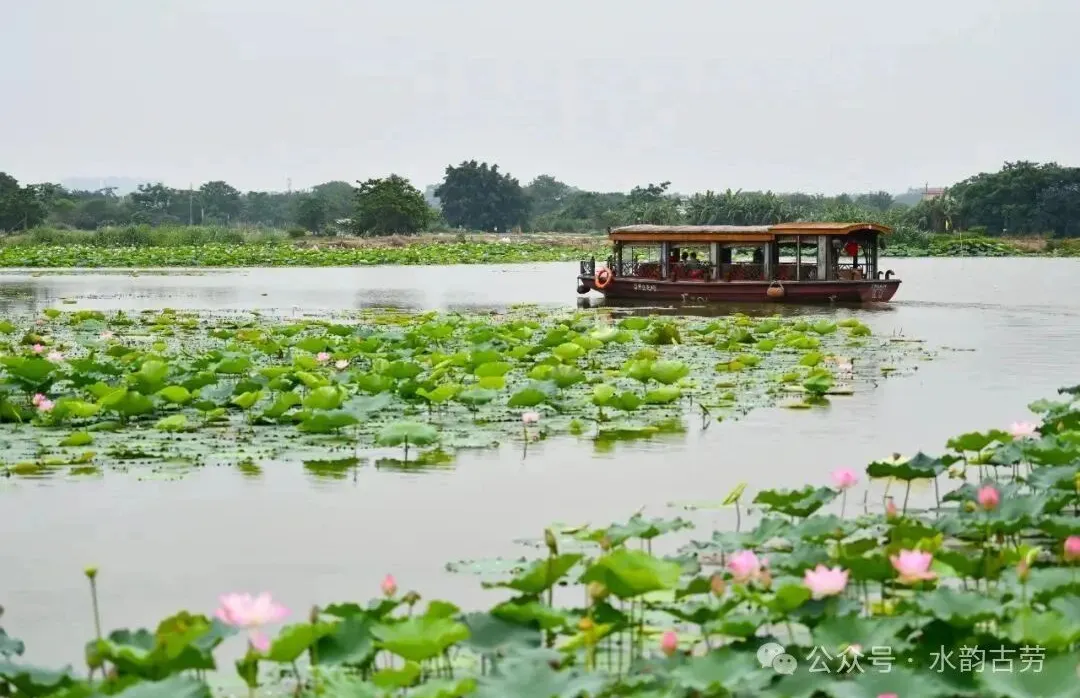 古勞水鄉