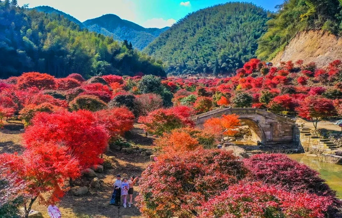 藍山谷紅楓
