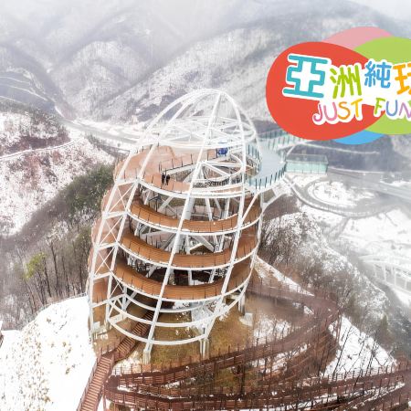 韓國10天團·坡州市+首爾+大邱+浦項+釜山 ※冬日賞雪深度之旅《 限定出發 :1月2,9,17日 》
