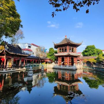 江門3天團·大灣區美食攻略+季節限定一年一度賞花季 入住國際品牌~江門智選假日酒店+大良智選假日酒店