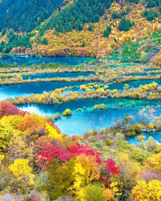 四川8天團·《九寨溝‧黃龍‧樂山》天府四川深度遊高鐵團 九寨溝(獨立環保車)、黃龍(瑤池仙境)、樂山大佛(遊船)、東方佛都、成都大熊貓繁育研究基地(觀賞國寶熊貓)、都江堰(千年水利工程)、成都City Walk