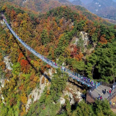 江原道+首爾6天團·秋日健行之旅 ※【原州】小金山大峽谷(小金山吊橋+天空塔觀景台+大峽谷懸索吊橋...)、【鐵原】漢灘江柱狀節理路、所伊山展望台+環山單軌車、【坡州】馬場湖水吊索橋+環湖步道、DMZ和平纜車、前美軍基地