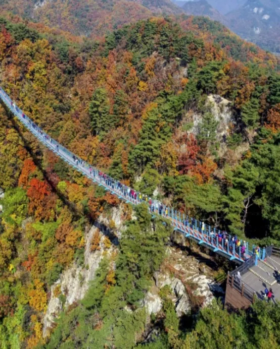 江原道+首爾6天團·秋日健行之旅 ※【原州】小金山大峽谷(小金山吊橋+天空塔觀景台+大峽谷懸索吊橋...)、【鐵原】漢灘江柱狀節理路、所伊山展望台+環山單軌車、【坡州】馬場湖水吊索橋+環湖步道、DMZ和平纜車、前美軍基地