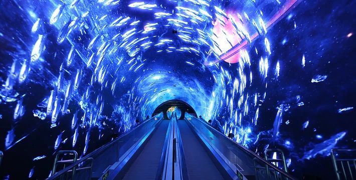 廣州正佳極地海洋館