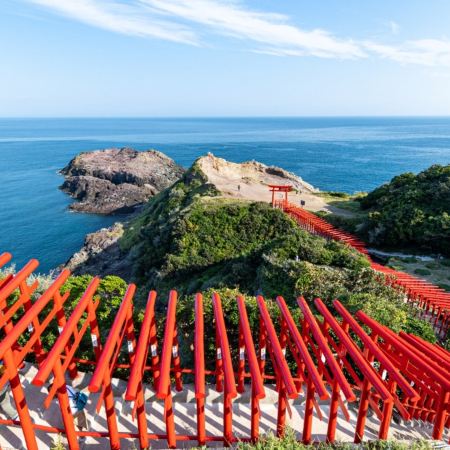 北九州市+福岡5天團·秋日賞景 溫泉之旅 元乃隅神社(123個朱紅色鳥居隧道)、「日本人氣No.1大橋」角島大橋、「日本最大鐘乳洞之一」秋芳洞/秋吉台の草紅葉、九州鐵道紀念館、宮地嶽神社