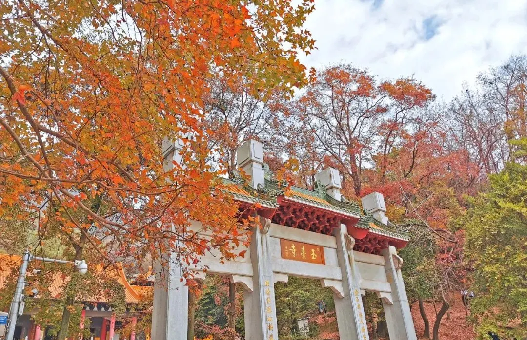 永安旅游