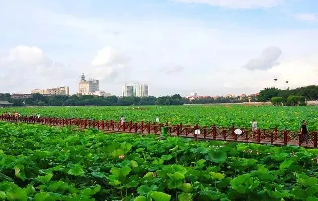 永安旅游
