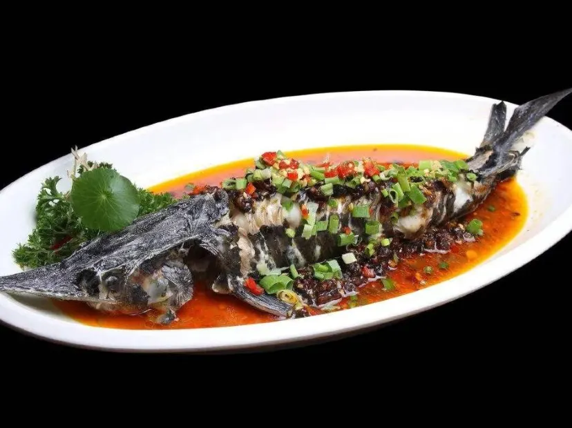 山泉水鱘龍魚